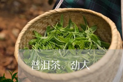 普洱茶 劲大/2023042802151